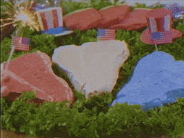 4Th Of July America GIF by Meow Wolf