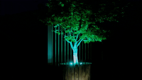 Handigelamp giphyupload GIF