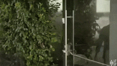 videosgifs giphyupload GIF
