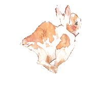 Chinese Bunny Sticker