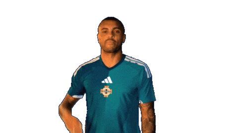 Bow And Arrow Celebration Sticker by Northern Ireland