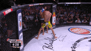 GIF by Bellator