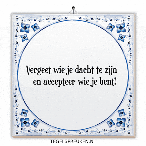 Humor Nl GIF by Tegelspreuken.nl
