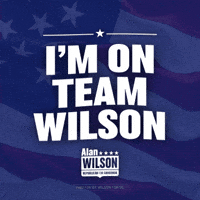 South Carolina America GIF