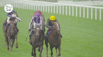 Frankie Dettori Whr GIF by World Horse Racing