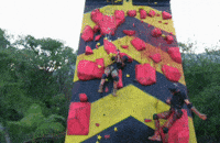 imacelebau GIF by I'm A Celebrity... Get Me Out Of Here! Australia
