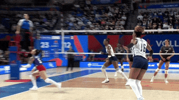 Sport Crack GIF by Volleyball World