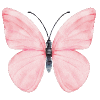 Butterfly Sticker