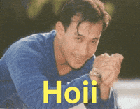 Hoi Yes GIF