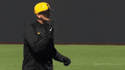 hellerball hawkeyebaseball GIF by University of Iowa Hawkeyes Athletics