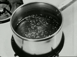 scottok cooking boil filmstrip GIF