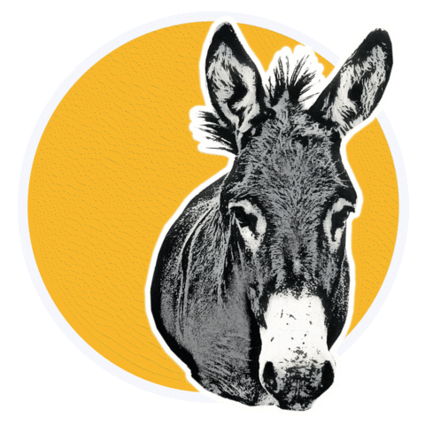 ongoldenrescue giphyupload Sticker