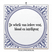 Nl Spanning GIF by Tegelspreuken.nl