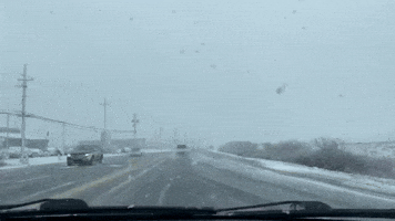 Snow Covers Yarmouth as 'Sprawling' Storm Moves Through Nova Scotia