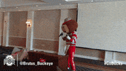 Ohio State Sport GIF by Ohio State Athletics