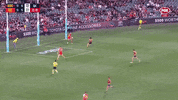 Round 3 Afl GIF by Adelaide Crows
