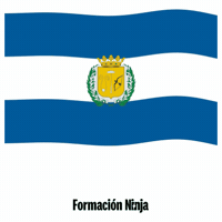 Flag Spain GIF by Formación Ninja