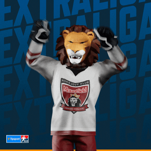 Hockey Hokej GIF by Tipsport extraliga