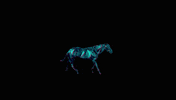 Horse Racing GIF by ZEDRUN