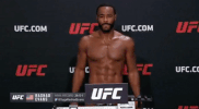 ufc 209 GIF