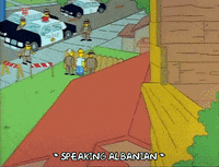 Season 1 GIF by The Simpsons