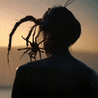 Spiders Thegame23 GIF by Komplex