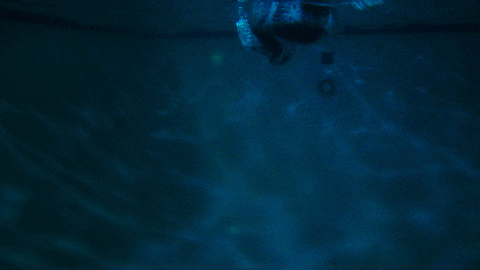 mark hoppus pool GIF by blink-182