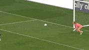 Save Womens Soccer GIF by National Women's Soccer League