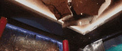 Sebastian Stan GIF by Diamond Films España