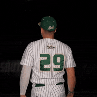 South Florida Baseball GIF by USF Athletics