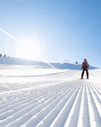 Chatel_officiel lets go mountain ski chatel GIF