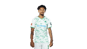 Back Number Celebration Sticker by SpVgg Greuther Fürth