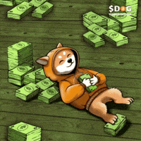 Dogofbitcoin dog dog sleeping runestone dog bitcoin GIF
