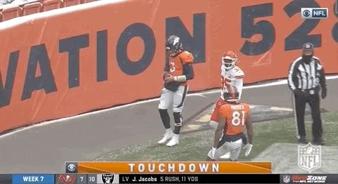Regular Season Football GIF by NFL