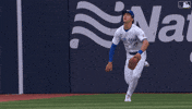 Blue Jays Baseball GIF by Toronto Blue Jays