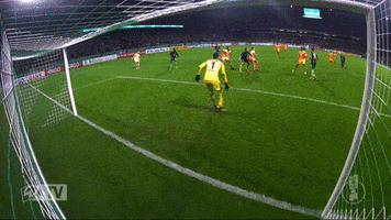 parade werder GIF