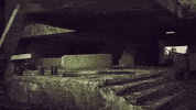 d&d horror GIF by Hyper RPG