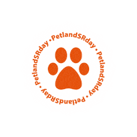 Cat Dog Sticker by Petland Brasil