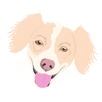 mo4paws cat dog cats dogs Sticker