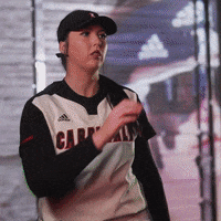 University Of Louisville Sport GIF by Louisville Cardinals