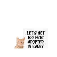 Cat Save Them All Sticker by Best Friends Animal Society