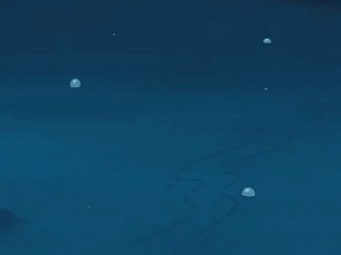 season 6 dear vikings GIF by SpongeBob SquarePants