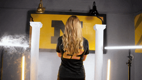 Tigers Missouri GIF by Mizzou Athletics
