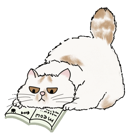 Cat Obi Sticker