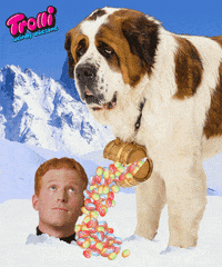 candy lol gif GIF by Trolli