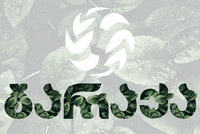 marketingBaraka baraka baraqa ბარაქა მოსავალი GIF