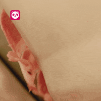Food Beef GIF by foodpanda