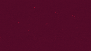 Adam Acsparta GIF by AC Sparta Praha