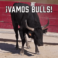 ¡Vamos Bulls!
