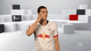 Happy Red Bulls GIF by Bundesliga